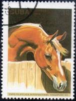 (№3835) Марка Куба 1995 год "Каштан Арабская лошадь equus ферусом caballus", Негашеная