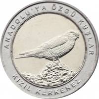 (2019) Монета Турция 2019 год 1 куруш "Степная пустельга" Внешнее кольцо белое Биметалл  UNC