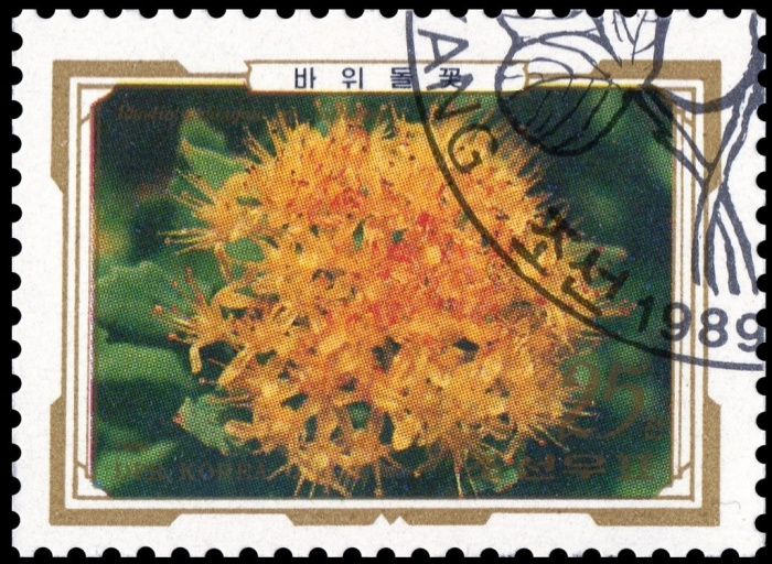 (1989-073) Марка Северная Корея &quot;Горец живородящий&quot;   Альпийские цветы III Θ