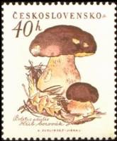 (1958-045) Марка Чехословакия "Белые грибы"    Грибы II Θ