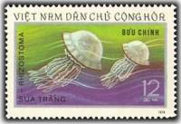 (1974-033) Марка Вьетнам "Медуза"   Морские существа III Θ