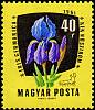 (1961-087) Марка Венгрия "Ирис германский"    Лекарственные растения II Θ