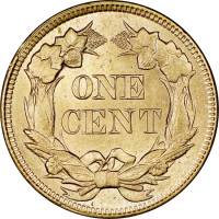 (1858) Монета США 1858 год 1 цент   Медь-Никель  UNC