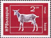 (1974-015) Марка Болгария "Коза"    Домашние животные III Θ