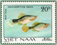 (1981-003) Марка Вьетнам "Пецилобрикон обыкновенный"    Декоративные рыбки III O