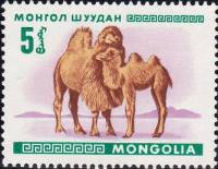 (1968-001) Марка Монголия "Двугорбый верблюд"    Молодые животные III O
