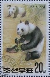(1991-002) Марка Северная Корея "Большая панда (2)"   Выставка ФИЛАНИППОН-91, Токио III &Theta;