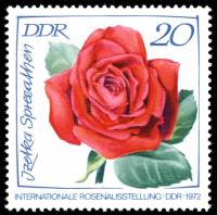 (1972-040) Марка Германия (ГДР) "Розы (4)"    Выставка роз III Θ