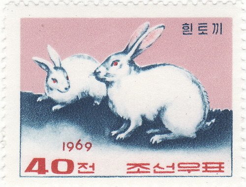 (1969-005) Марка Северная Корея &quot;Серебристый кролик&quot;   Кролики III Θ
