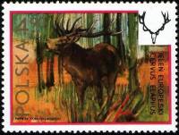 (1973-022) Марка Польша "Олень"    Дикая природа III O