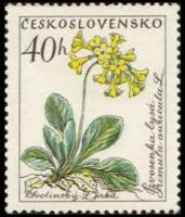 (1960-061) Марка Чехословакия "Первоцвет ушковый"   Цветы II Θ