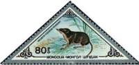(1983-067) Марка Монголия "Обыкновенная кутора"    Млекопитающие III Θ
