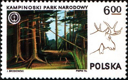 (1976-030) Марка Польша &quot;Лось&quot;    Великопольский Национальный парк III Θ