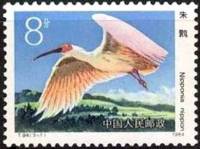 (№1984-1934) Марка Китай 1984 год ""Ниппония" ниппон", Гашеная