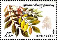 (1980-093) Марка СССР "Обыкновенный ясень"    Охраняемые породы деревьев и кустарников II Θ