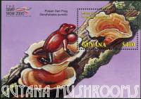 (№2000-668) Блок марок Гайана 2000 год "Траметес как Tzametes лишай", Гашеный