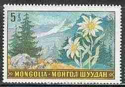 (1969-020) Марка Монголия "Эдельвейс"    Растительный мир Монголии III &Theta;