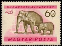 (1961-005) Марка Венгрия "Слон"    Зоопарк Будапешта II Θ