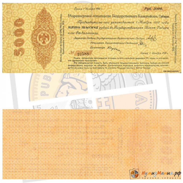 (без серии, срок 01,12,1919, ДО) Банкнота Адмирал Колчак 1919 год 5 000 рублей    VF