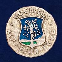 29394\131949 Значок "Сосница"