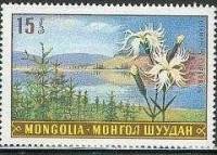 (1969-022) Марка Монголия "Гвоздика пышная"    Растительный мир Монголии III O