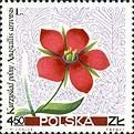 (1967-048) Марка Польша "Очный цвет полевой"   Полевые цветы III Θ