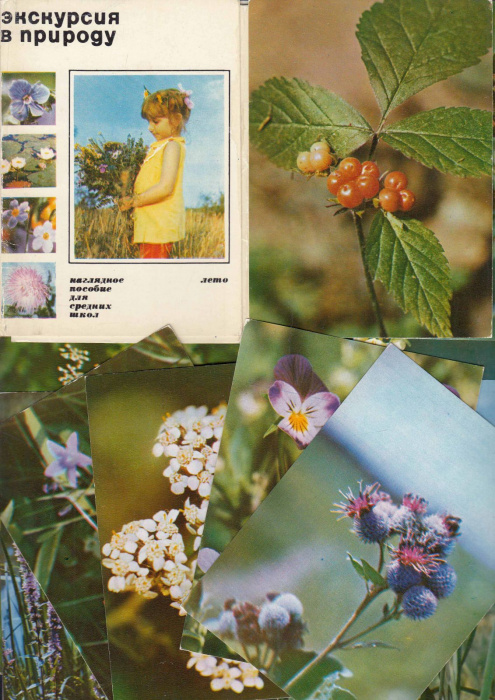 Набор открыток &quot;Экскурсия в природу&quot;, некомплект 19 из 25 шт., 1973 г.