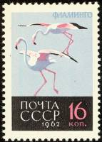 (1962-143a) Марка СССР "Фламинго"  нет ноги  Птицы II O