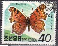 (1991-019) Марка Северная Корея "Углокрыльница c-белое"   Бабочки гор мира III Θ