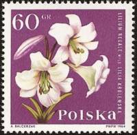 (1964-087) Марка Польша "Лилия Царственная"   Садовые цветы II Θ