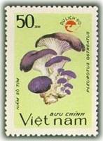 (1990-105) Марка Вьетнам "Вёшенка обыкновенная"    Туризм III Θ