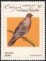 (1979-010) Марка Куба "Обычный голубь"    Голуби III Θ