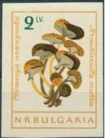 (1961-086) Марка Болгария "Опята "   Грибы (2) III O