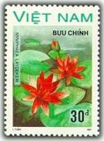 (1988-034) Марка Вьетнам "Нимфея гибридная"    Водяные цветы III Θ
