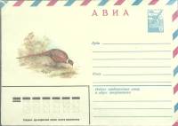 1980-год  Конверт маркированный СССР Фазан   ,  Марка
