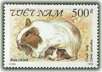 (1992-087) Марка Вьетнам "Морская свинка"    Грызуны III O