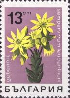 (1968-018) Марка Болгария "Молодило белоцветное"   Горные цветы III Θ