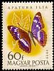 (1959-068) Марка Венгрия "Переливница тополёвая"    Бабочки II Θ