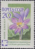 1960-105 Марка СССР Безвременник великолепный   Флора II Θ