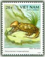 (1989-051) Марка Вьетнам "Большеголовая черепаха"    Черепахи III Θ