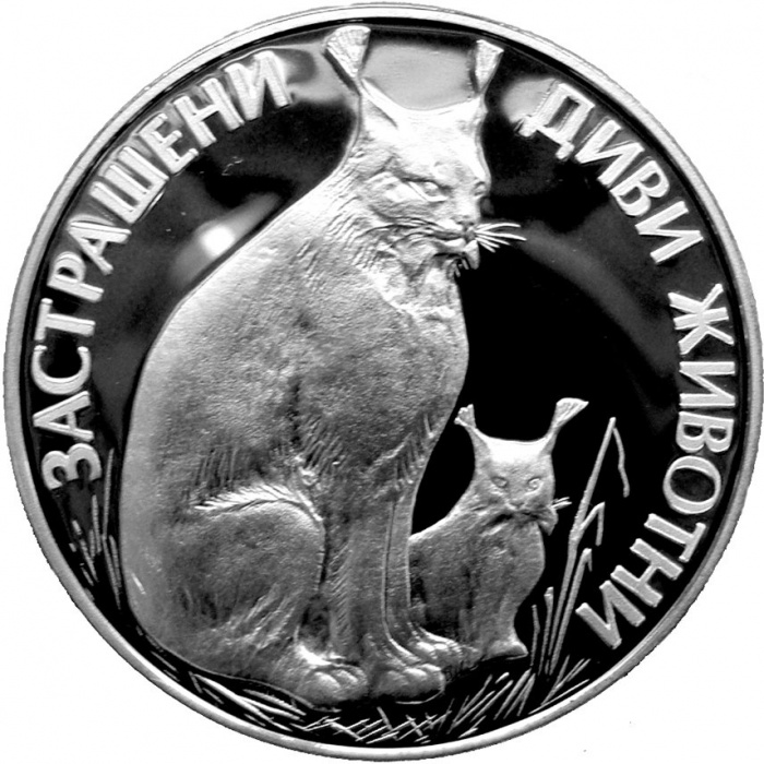 (1990) Монета Болгария 1990 год 25 лева &quot;Рысь&quot;  Серебро Ag 925  PROOF