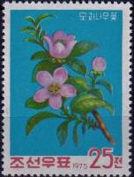 (1975-069) Марка Северная Корея "Айва"   Цветение III Θ
