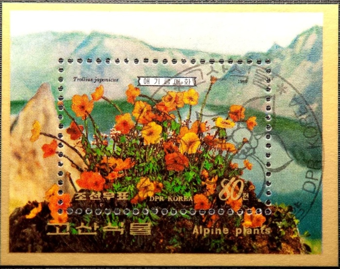 (1989-075) Блок марок  Северная Корея "Купальница"   Альпийские цветы III &Theta;
