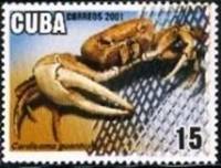 (№4368) Марка Куба 2001 год "Guanhumi Cardisoma синий Краб Земли", Негашеная