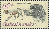 1973-041 Марка Чехословакия Немецкий короткошерстный пойнтер   50 лет Чехословатскому охотничьему де