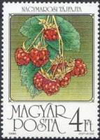 (1986-049) Марка Венгрия "Малина"    Фрукты II Θ