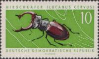 (1963-046) Марка Германия (ГДР) "Жук-олень"    Охраняемые животные III O