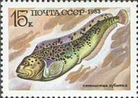 (1983-053) Марка СССР "Пятнистая зубатка"   Промысловые рыбы III O