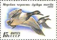 1991-056 Марка СССР Морская чернеть  Утки II Θ