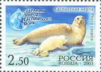 2003-069 Марка Россия Нерпа с детенышем  Сохраним природу Каспийского моря III O